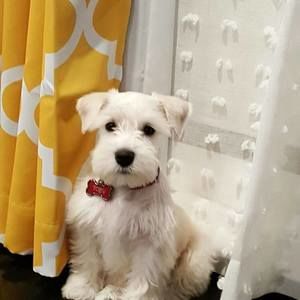 Meet your Posher, Isabela